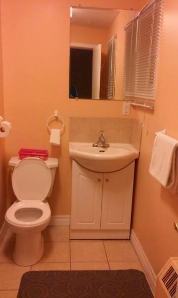 Leisure Motel Windsor Bagian luar foto